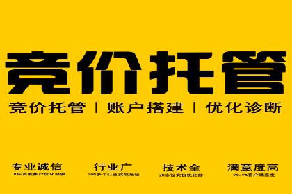 竞价广告赚钱秘籍：百度实战案例